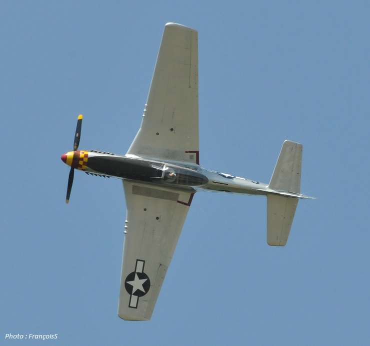 Pilote P-51
